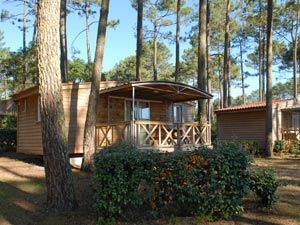 Cottage_2p_1ch_3f_PinedeCha